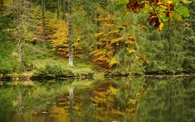 Der Herbst tupft die Umgebung am Weiher in ein buntes Farbenmeer.